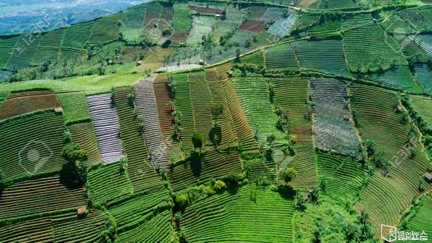 78249359-beautiful-aerial-view-of-green-farmland-with-terraced-system-in-majalengka-west-java-indonesia.jpg